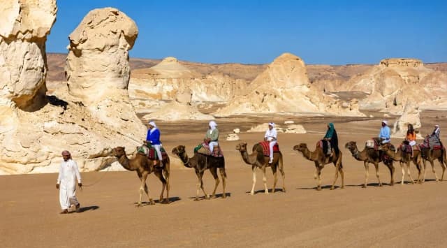 رحلات ترفيهية